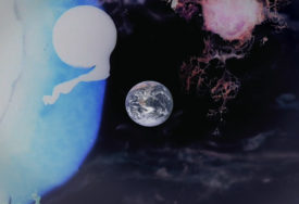 from the Cogito project by Daniela de Paulis