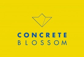 takeover concrete blossom