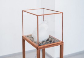 Detail of In Vitro, Aljaž Celarc