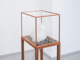 Detail of In Vitro, Aljaž Celarc