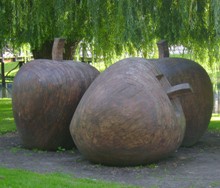 Kees Franse (1973), De Appels